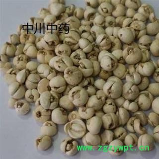 川贝母，野生精选货，库存500可售图3