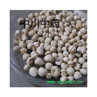 川贝母，野生精选货，库存500可售