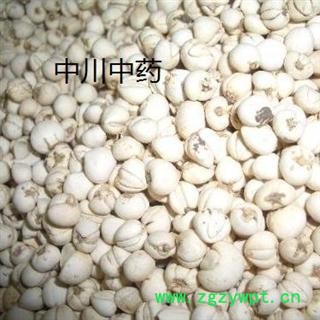 川贝母，野生精选货，库存500可售图2