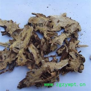 藁本  新疆野生一级统片  库存5000可售图3