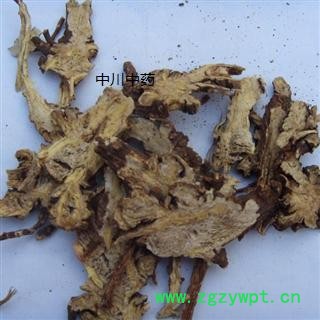 藁本  新疆野生一级统片  库存5000可售图2