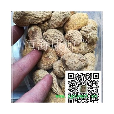 金果榄 统个 产地 黑龙江省