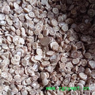 北沙参 无硫中选片 产地 河北省保定市安国市