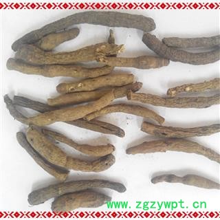 仙茅 优质 产地 云南省图4