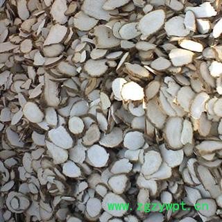 川白芷之遂宁白芷选装过筛圆片 道地白芷 产地直销 常年有大货 遂宁市船山区图4