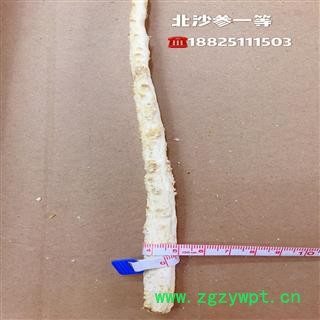 北沙参，内蒙古北沙参一等，产地，内蒙古自治区赤峰市市辖区图3