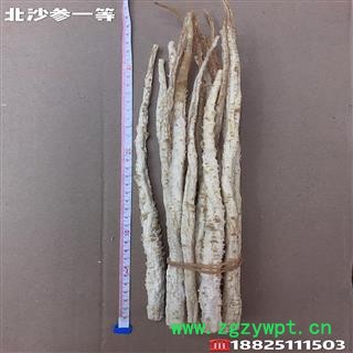 北沙参，内蒙古北沙参一等，产地，内蒙古自治区赤峰市市辖区图2