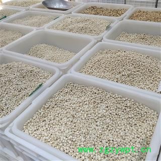 无硫川贝母 松贝高含量 珍珠贝 产地 四川省阿坝藏族羌族自治州阿坝县图4