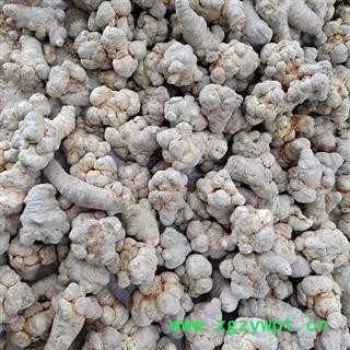 （包邮）特级冻干三七图4