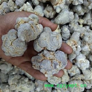 （包邮）特级冻干三七图2