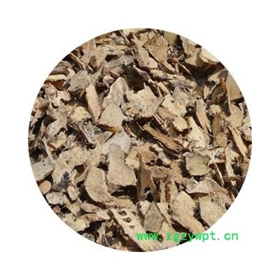 芦竹根 统片 产地 四川省