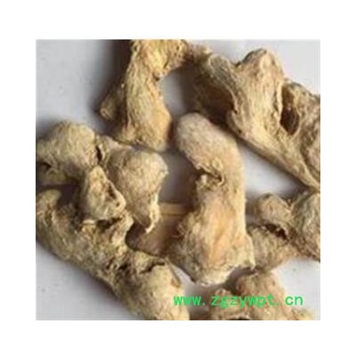 干姜 统 产地 广西壮族自治区