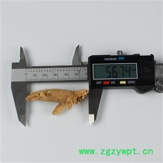 西洋参 西洋参3-5g粒头 产地 吉林省白山市抚松县图3