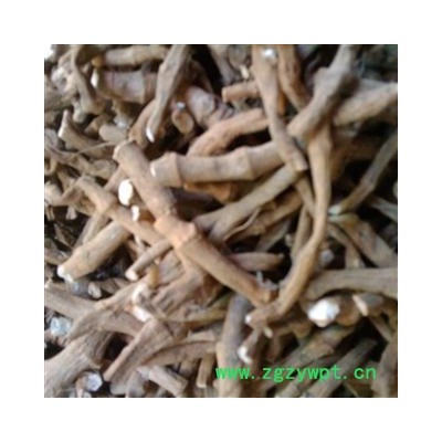 三白草 统货 产地 广西壮族自治区南宁市