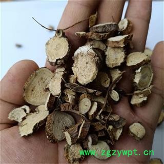 产地直销 苦参【广生堂中药材】批发零售中药材苦参500g一手货源图2