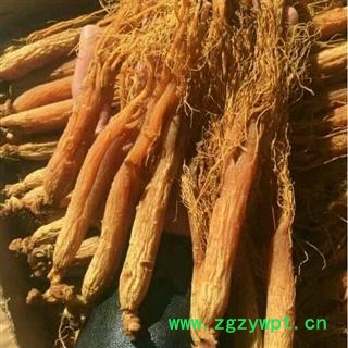 红参60支 红参低农残低糖60支 产地 吉林省白山市抚松县图3