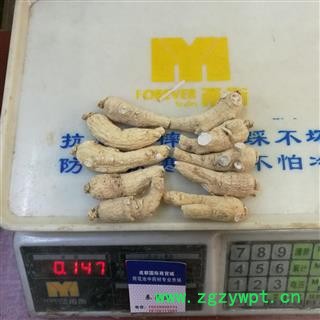 西洋参12克短支 国产西洋参12克短支 产地 吉林省白山市抚松县图2