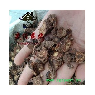 羌活 优质大统货 产地 四川省阿坝藏族羌族自治州壤塘县