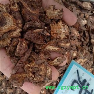 羌活 优质大统货 产地 四川省阿坝藏族羌族自治州壤塘县图2