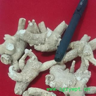 西洋参 纯正美国花旗参参粒头20-30克，纯正进口图3