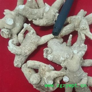 西洋参 纯正美国花旗参参粒头20-30克，纯正进口图2