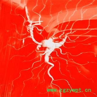 人参 百年野山参产自长白山原始森林重15克以上纯干无杂质 产地 吉林省白山市抚松县图3