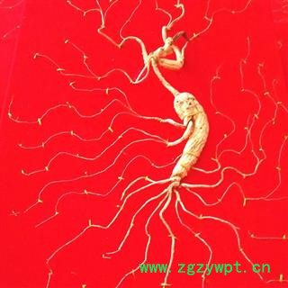 人参 百年野山参产自长白山原始森林重15克以上纯干无杂质 产地 吉林省白山市抚松县图2