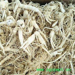 生晒参 生晒参60支以上支，产地直供，假一赔十 产地 吉林省白山市抚松县图3