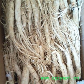 生晒参 生晒参60支以上支，产地直供，假一赔十 产地 吉林省白山市抚松县图2