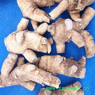 西洋参 西洋参精剪粒头25克，产地直供假一赔十 产地 吉林省白山市抚松县图3