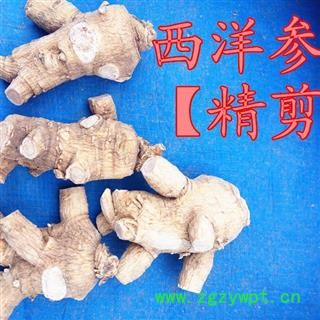 西洋参 西洋参精剪粒头25克，产地直供假一赔十 产地 吉林省白山市抚松县图2