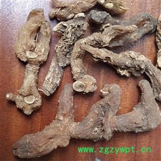 黄精 野生,选货 产地 河南省图2