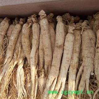 生晒参 生晒参，无流，20只，产地直供假一赔十 产地 吉林省白山市抚松县图3