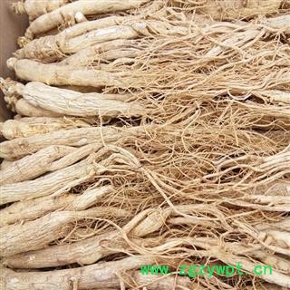 生晒参 生晒参，无流，20只，产地直供假一赔十 产地 吉林省白山市抚松县图2