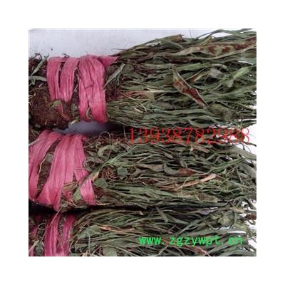 过山蕨，过山龙， 统，野生 产地 河南省