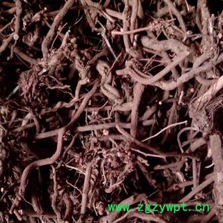 茜草， 选条， 产地 河南省禹州市图3