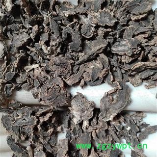 玄参 , 产地直销: 河南省图2