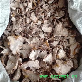 狗脊，狗脊片， 狗脊生统片，金毛狗脊， 产地 云南省图3