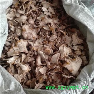 狗脊，狗脊片， 狗脊生统片，金毛狗脊， 产地 云南省图2