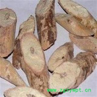 牛大力，别名猪脚笠、金钟根、山莲藕、倒吊金钟、大力薯图2