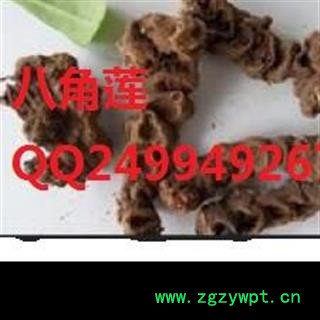 中川野生八角莲  产地四川  库存500可售图2