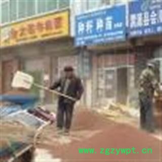 产地直销 党参籽 党参种子 2015年新产  党参之乡直销图2