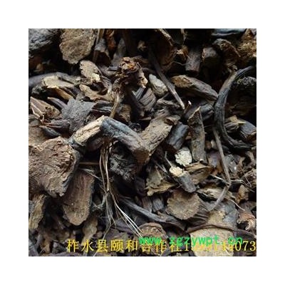 地榆 统 产地直销 无硫 陕西省商洛市柞水县