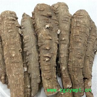 川白芷之遂宁白芷选装特一级 道地白芷 产地直销 常年有大货 遂宁市船山区图2