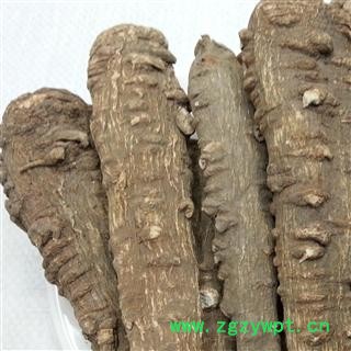 川白芷之遂宁白芷选装特一级 道地白芷 产地直销 常年有大货 遂宁市船山区图4