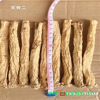 纹党参，纹党二等3.6-4.0短条，产地：甘肃省陇南市文县图2