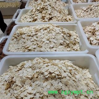 西洋参片 1.6至1.8大片 产地货源 批发价格 泡茶 泡酒 煲汤 煮茶养生滋补 保证质量 打造口碑图4