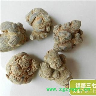 15头 20头 30头 40头 质量咨询15288688820图3