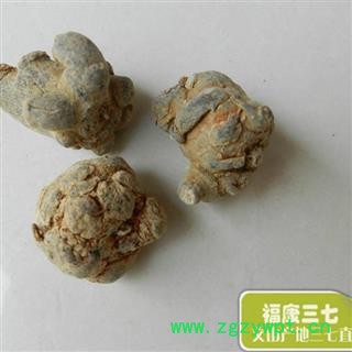 15头 20头 30头 40头 质量咨询15288688820图2