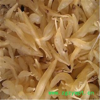 天冬 统 产地 广西壮族自治区图2